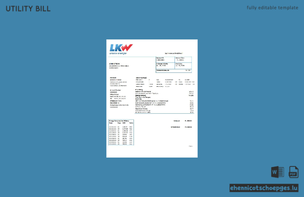 Liechtenstein Ische Kraftwerke LKW electricity utility bill sample preview
